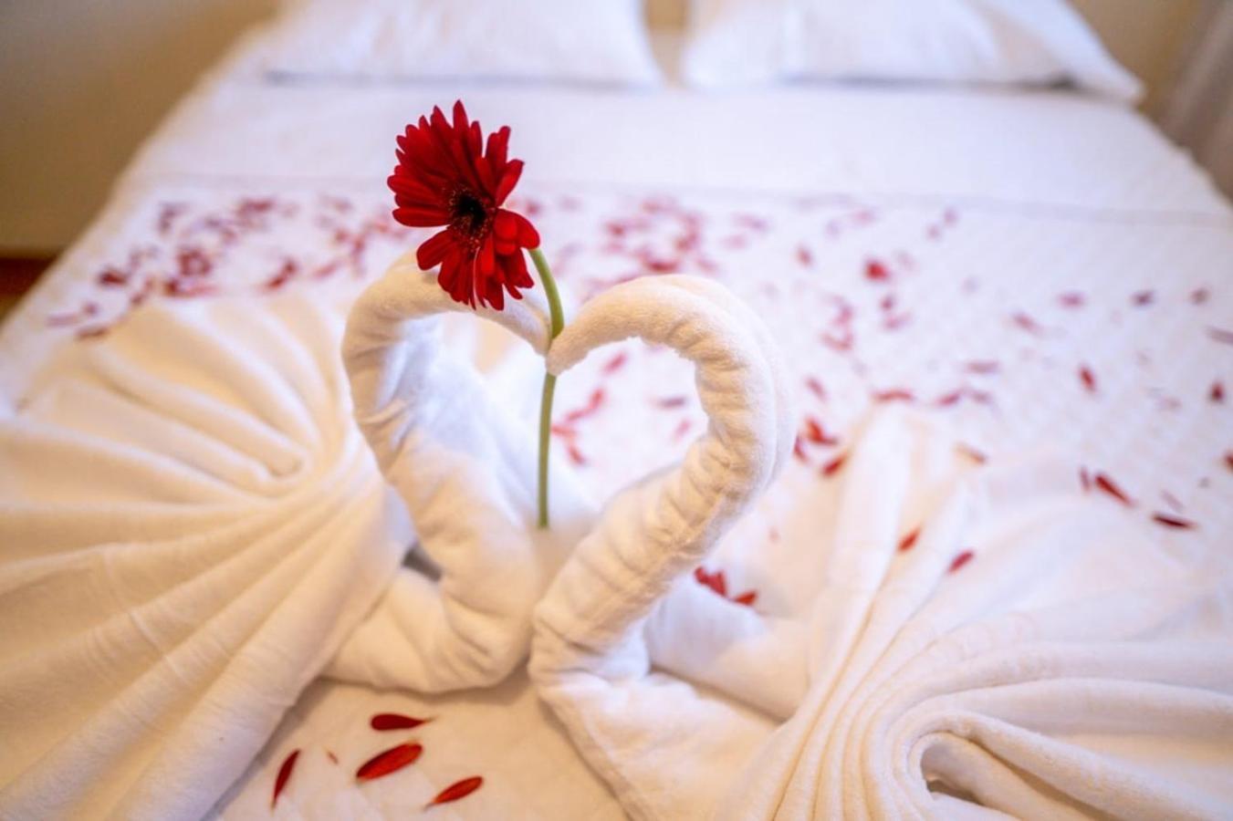 Hotel Los Manantiales Панахачел Екстериор снимка